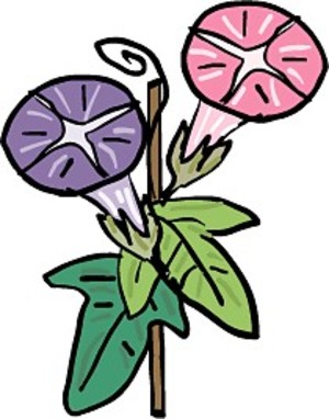 Asagaojpg_2