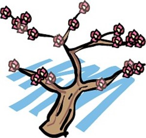 Ume