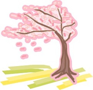 Sakura2